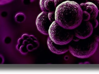 Σε αλματώδη αύξηση τα κρούσματα Σύφιλης!