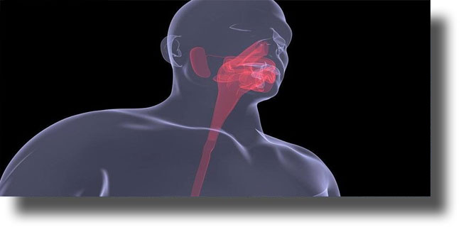 Δημοφιλή φάρμακα για τις καούρες μπορεί να αυξάνουν τον κίνδυνο πρόωρου θανάτου