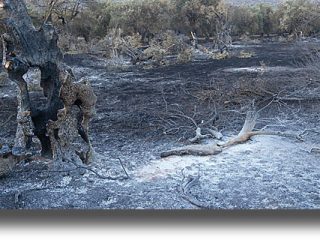 ΛΕΡΟΣ: Υπό έλεγχο η πυρκαγιά &#8211; Αναταραχή στο hotspot