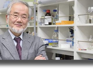 Το Νόμπελ Ιατρικής στον άνθρωπο που απέδειξε πως είναι καλό να&#8230; τρώμε τον εαυτό μας!