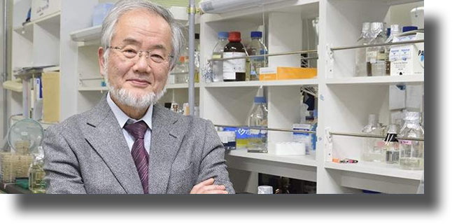 Το Νόμπελ Ιατρικής στον άνθρωπο που απέδειξε πως είναι καλό να… τρώμε τον εαυτό μας!