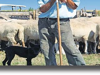 ΛΕΡΟΣ: Έκτακτη στήριξη στους κτηνοτρόφους που επλήγησαν από το προσφυγικό