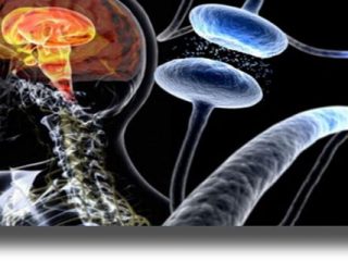 Η νόσος του Πάρκινσον περνάει από το… στομάχι