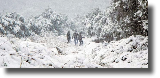 Ρεκόρ ψύχους τον Ιανουάριο – Τι δείχνουν τα μετεωρολογικά στοιχεία
