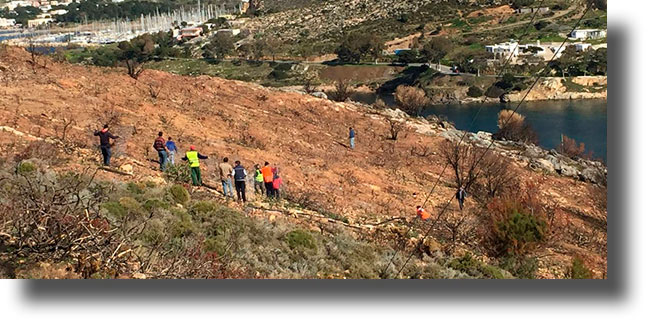 ΛΕΡΟΣ: Δεντροφύτευση στην πυρόπληκτη περιοχή των Λεπίδων από τον Δήμο