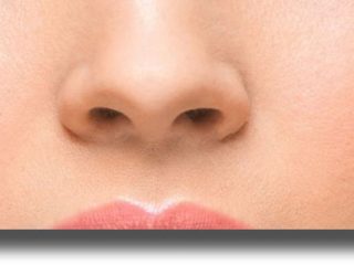 Οι κλιματικές συνθήκες άλλαξαν το σχήμα της μύτης