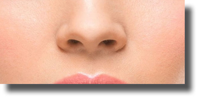 Οι κλιματικές συνθήκες άλλαξαν το σχήμα της μύτης