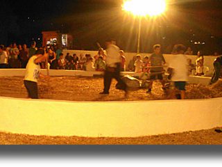 ΛΕΡΟΣ: Πλήθος κόσμου στην γιορτή του «Αλωνάρη – Αγρότη»