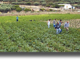 ΛΕΡΟΣ: Ο Κοι.Σ.Π.Ε επεκτείνεται και στην Ρόδο με την αρωγή της Περιφέρειας