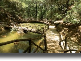 Νέο είδος εντόμου ανακαλύφθηκε στην Ρόδο