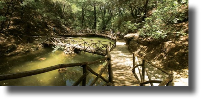 Νέο είδος εντόμου ανακαλύφθηκε στην Ρόδο