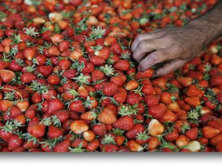 Αυτά είναι τα πιο μολυσμένα φρούτα και λαχανικά για το 2018