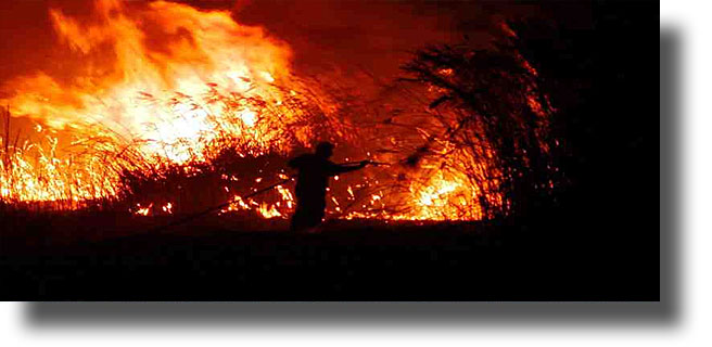 Πολύ υψηλός κίνδυνος πυρκαγιάς την Κυριακή 15/7/2018 στην Περιφέρεια Νοτίου Αιγαίου – Π.Ε. Δωδεκανήσου
