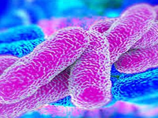 Ο καρκίνος του παχέος εντέρου χτυπά τους νέους -Απαραίτητες οι προληπτικές εξετάσεις