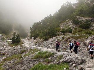 Θα καταγραφούν τα μονοπάτια της Δωδεκανήσου από τη Διεύθυνση Δασών