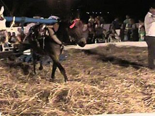 Λέρος: Πρόσκληση στη γιορτή του Αλωνάρη &#8211; Αγρότη