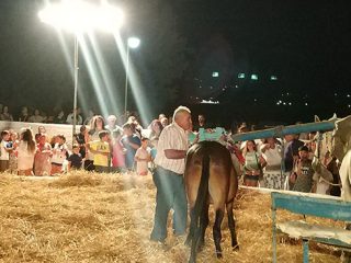 Λέρος: Πρόσκληση στη «Γιορτή Αλωνάρη – Αγρότη» που διοργανώνει ο Δήμος