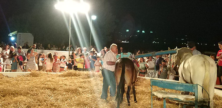 Λέρος: H γιορτή του «Αλωνάρη – Αγρότη» στη Γούρνα