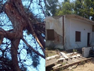 Λέρος: Ανακοίνωση από το γραφείο Δημάρχου για κοπή δέντρου στο Λακκί