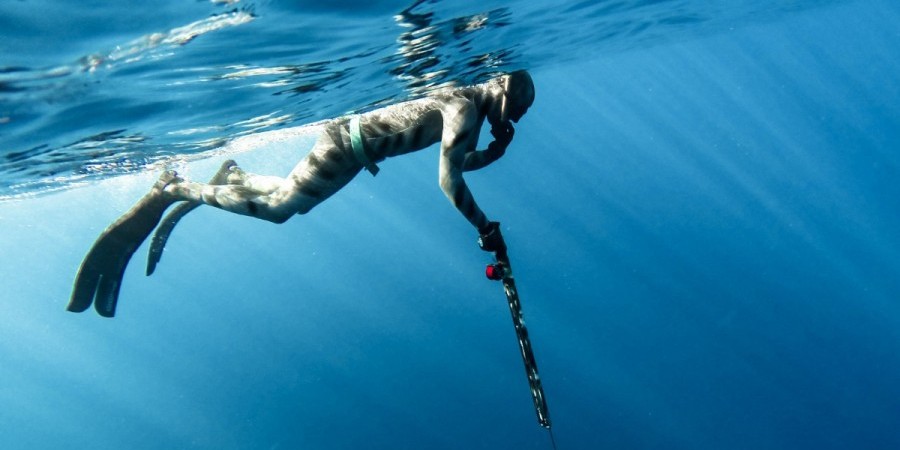 Κάλυμνος: Κατάσχεση αλιευμάτων από “ψαροντουφεκάδες”