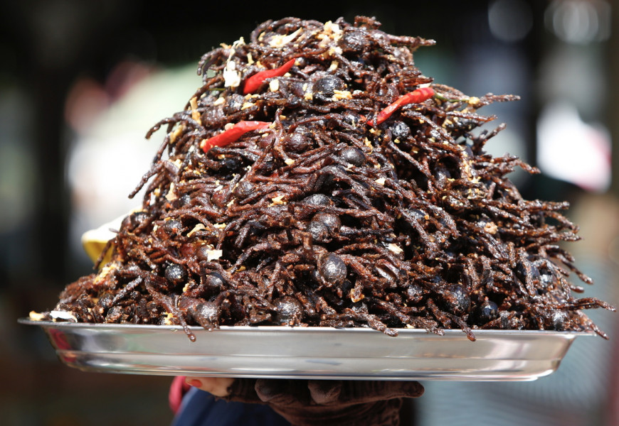 Πράσινο φως για την κατανάλωση εντόμων στην Ευρώπη: «Πλούσια σε πρωτεΐνες και ίνες»