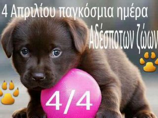 Δράση του 2ου Γυμνασίου Λέρου για την Παγκόσμια Ημέρα Αδέσποτων Ζώων