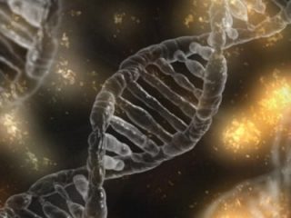 Σπουδαία ανακάλυψη: Ολοκληρώθηκε η ανάγνωση του ανθρώπινου γονιδιώματος με συμμετοχή Έλληνα γενετιστή