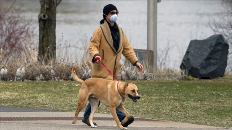 Πόσα κατοικίδια επιτρέπονται σε κάθε σπίτι – Νέος νόμος