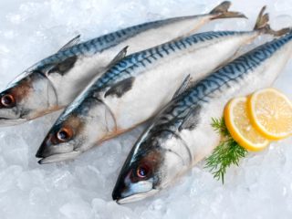 Τα καλύτερα ψάρια για την υγεία: Πρωτεΐνες, βιταμίνες, μέταλλα και οφέλη για ασθένειες