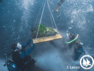 Οι υποβρύχιοι κηπουροί του Αιγαίου στο νησιωτικό σύμπλεγμα των Λειψών