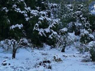 Παράταση αργίας και την Τετάρτη στα Δωδεκάνησα