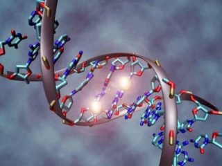 Σπουδαία ανακάλυψη: Αποκωδικοποιήθηκε πλήρως για πρώτη φορά το ανθρώπινο γονιδίωμα