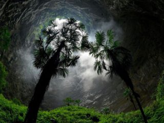 Κίνα: Εξωπραγματικό παρθένο δάσος κρυβόταν στα έγκατα της Γης