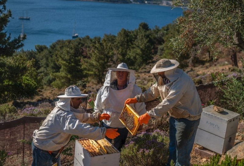 Λέρος: Εκτενής αναφορά στο νησί από μεγάλα ειδησεογραφικά δίκτυα λόγω δράσεων του ΚοιΣΠΕ