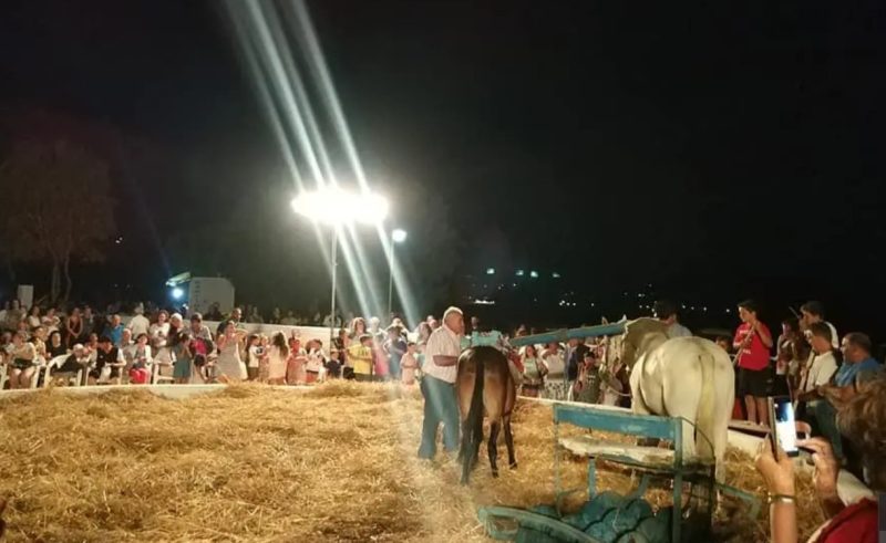 Λέρος: Πρόσκληση στη γιορτή του &#8220;Αλωνάρη &#8211; Αγρότη&#8221;