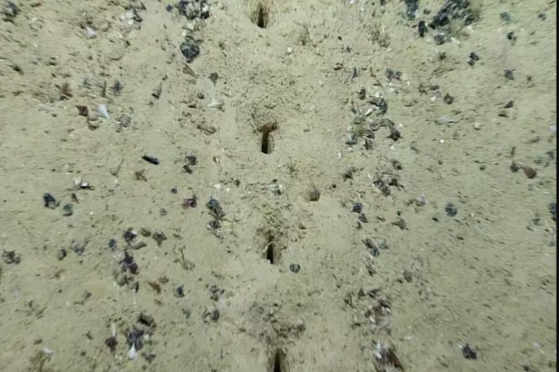 Μυστηριώδεις τρύπες βρέθηκαν στον πυθμένα του Ατλαντικού ωκεανού – Γιατί προβληματίζουν τους επιστήμονες