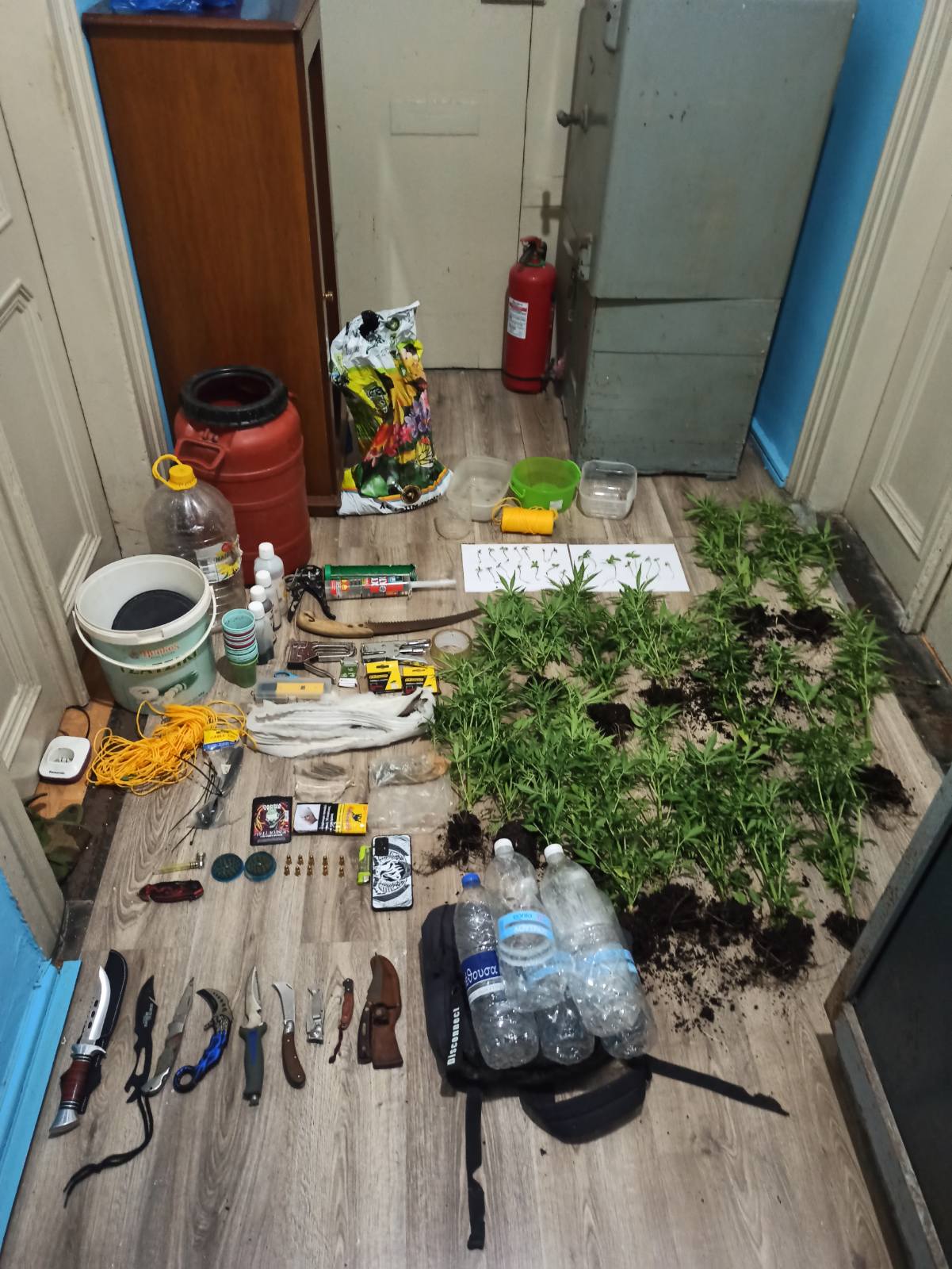 Κάλυμνος: Συνελήφθησαν επ’ αυτοφώρω δυο ημεδαποί για καλλιέργεια κάνναβης και οπλοκατοχή