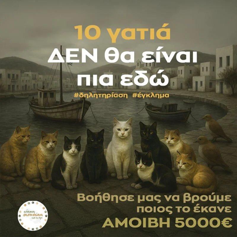 Λέρος: Επικήρυξη 5000 ευρώ για τον δράστη που δηλητηρίασε γάτες!