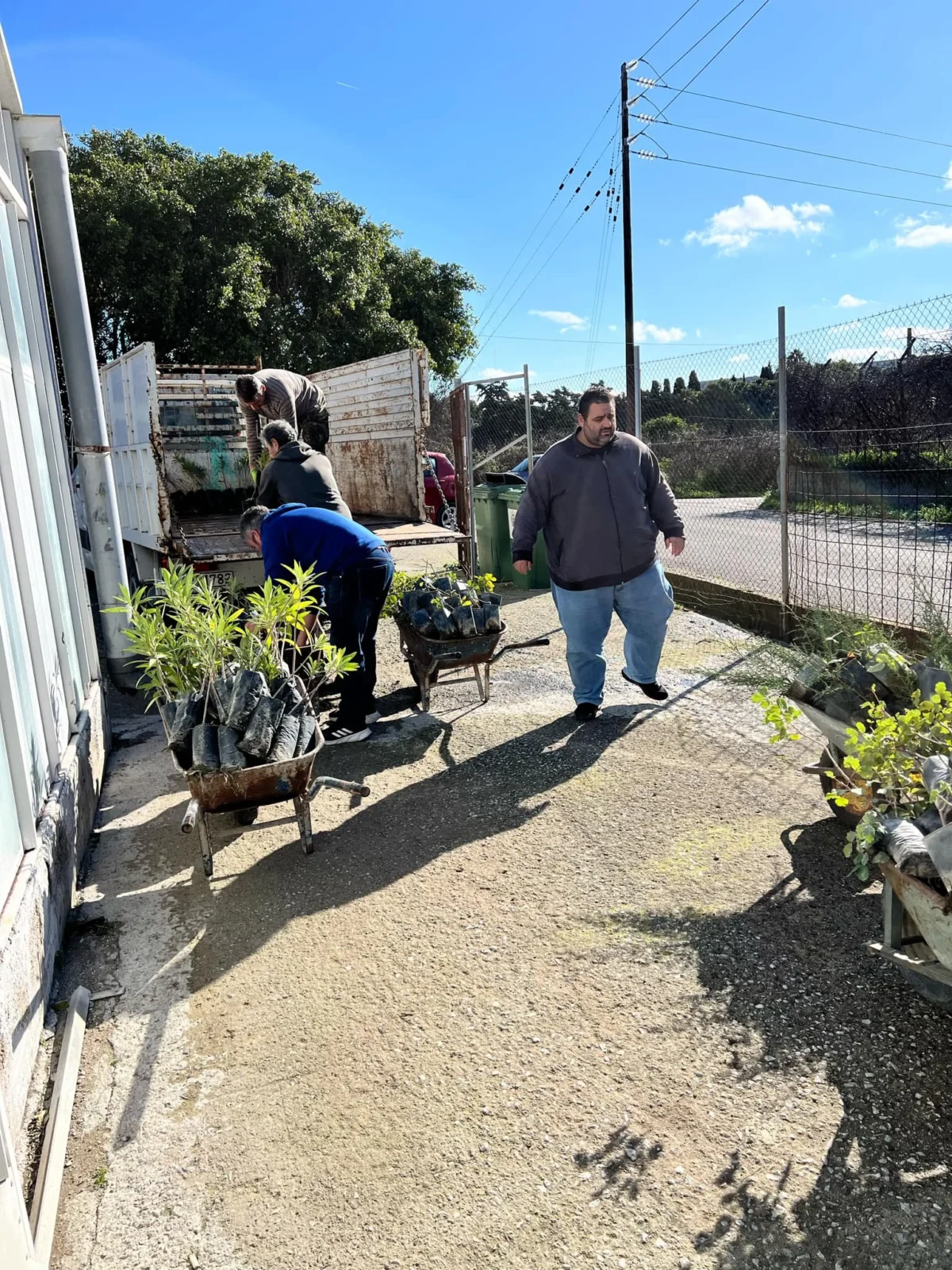 Περιφερειακό φυτώριο: Σε εξέλιξη το μεγαλύτερο πρόγραμμα παραδόσεων διαφόρων φυτών και υλικών σε όλο το νότιο Αιγαίο