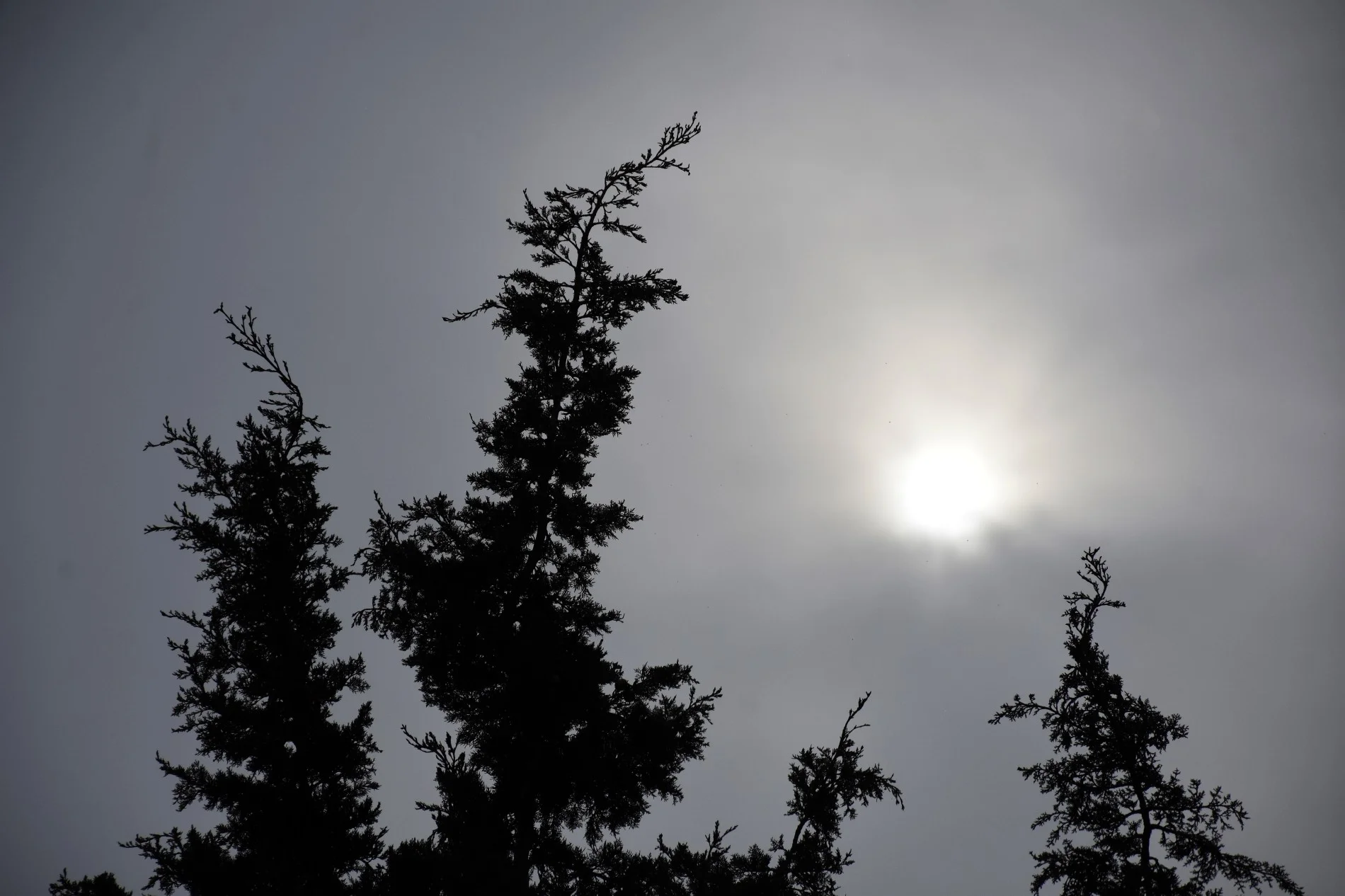 Καιρός – 25η Μαρτίου: Βροχές, αφρικανική σκόνη και ζέστη –Αναλυτική πρόγνωση