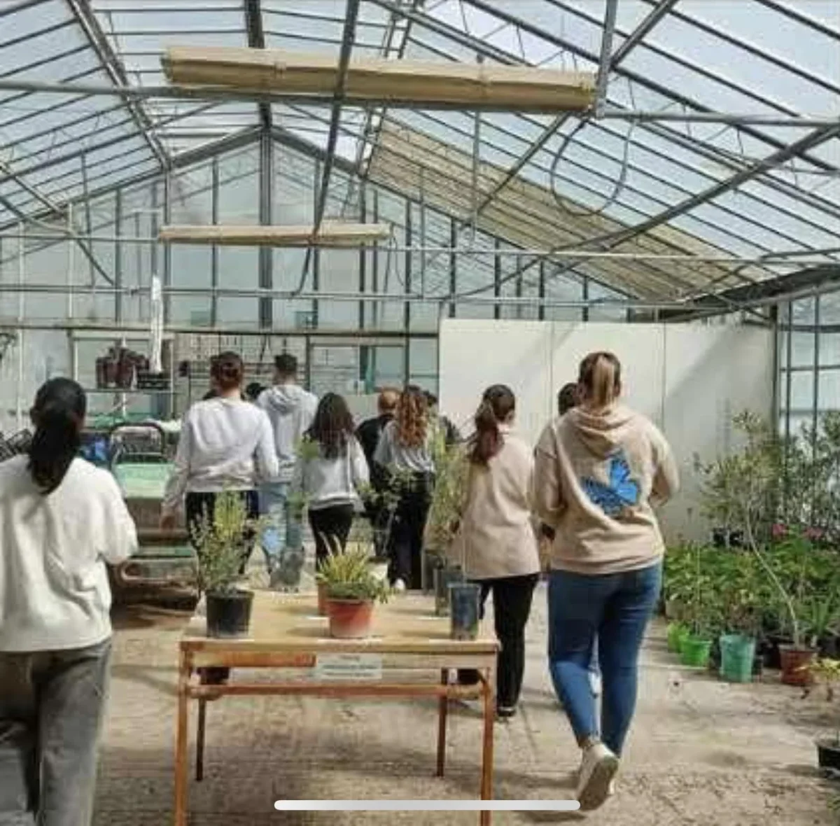 Ολοκληρώθηκαν οι εκπαιδευτικές και περιβαλλοντικές δράσεις του Περιφερειακού Φυτωρίου σε συνεργασία με το ΚΠΕ Πεταλούδων