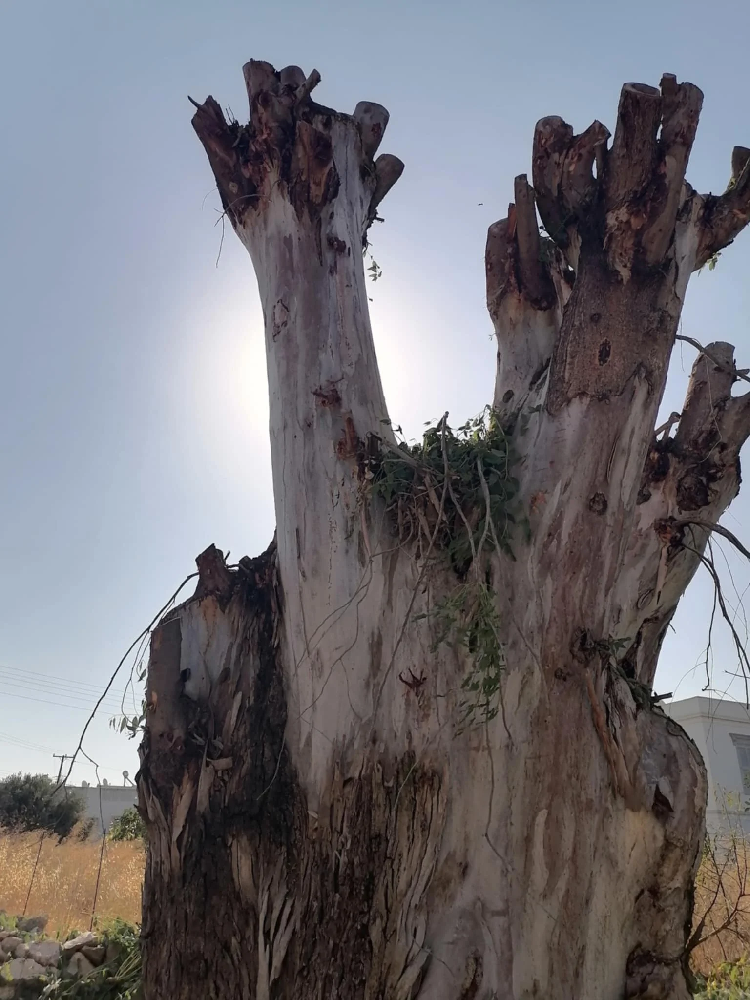 Λέρος: Επίσκεψη Περιφερειακού Συμβούλου και Αντιπροσωπείας ΠΑΣΟΚ στο Νοσοκομείο