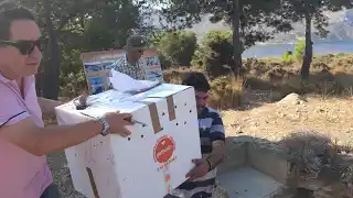 Λέρος &#8211; Ρεπορτάζ: Επέστρεψε και απελευθερώθηκε ο σπάνιος Σπιζαετός