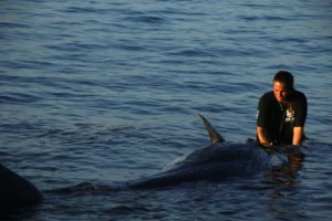 Νεαρός Φυσητήρας Εκβράστηκε Νεκρός στη Σάμο