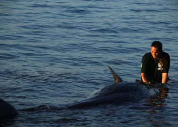 Νεαρός Φυσητήρας Εκβράστηκε Νεκρός στη Σάμο