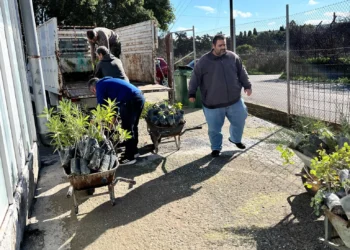 Σωρεία παραδόσεων από το Φυτώριο της Περιφέρειας Νοτίου Αιγαίου για την ενίσχυση της πράσινης ανάπτυξης στα νησιά