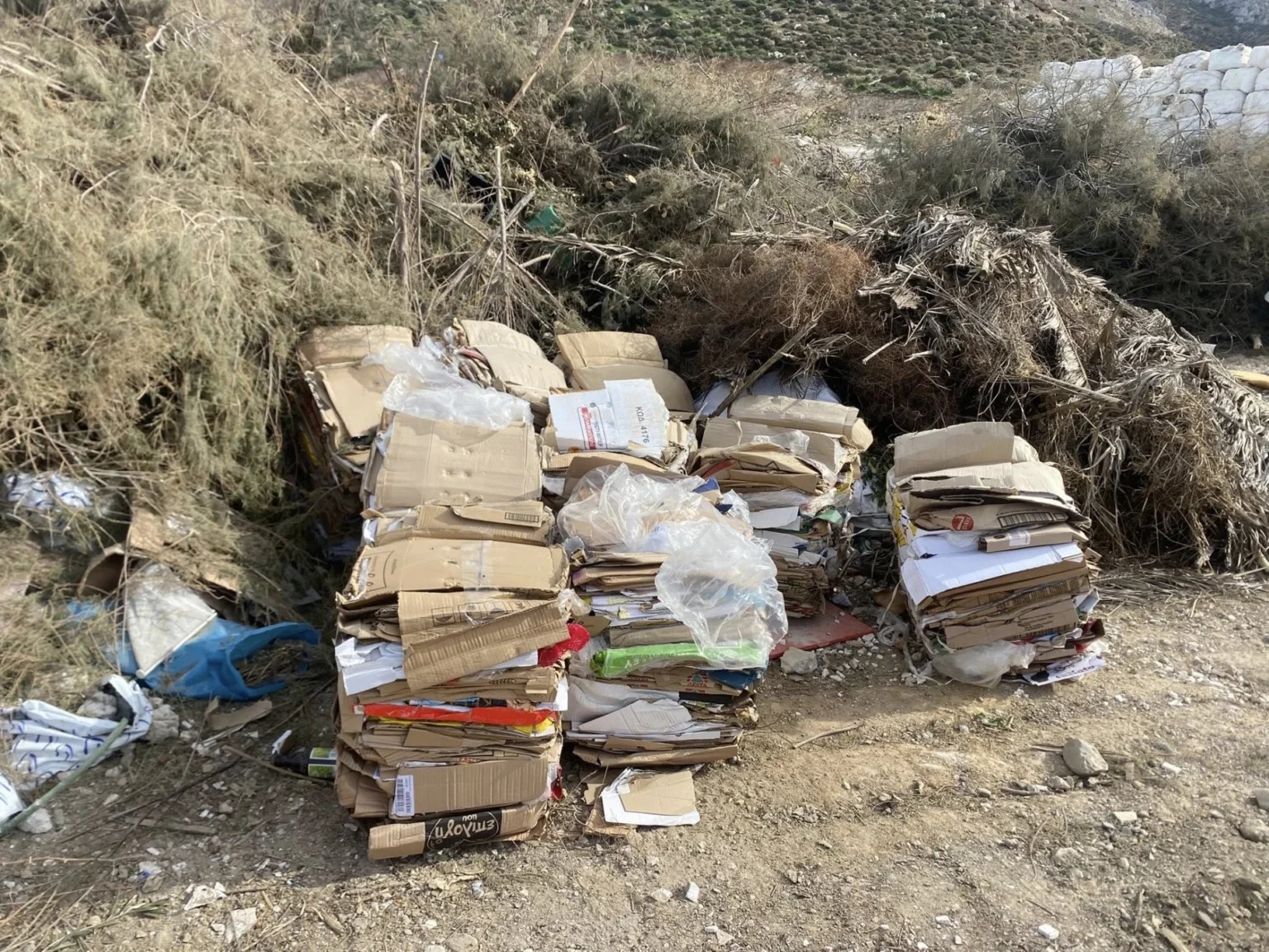 Μιχάλης Κόλιας για ανακύκλωση: &#8220;Δεματοποιημένα χαρτόνια μεταφέρονται ως σκουπίδια στη χωματερή&#8221;