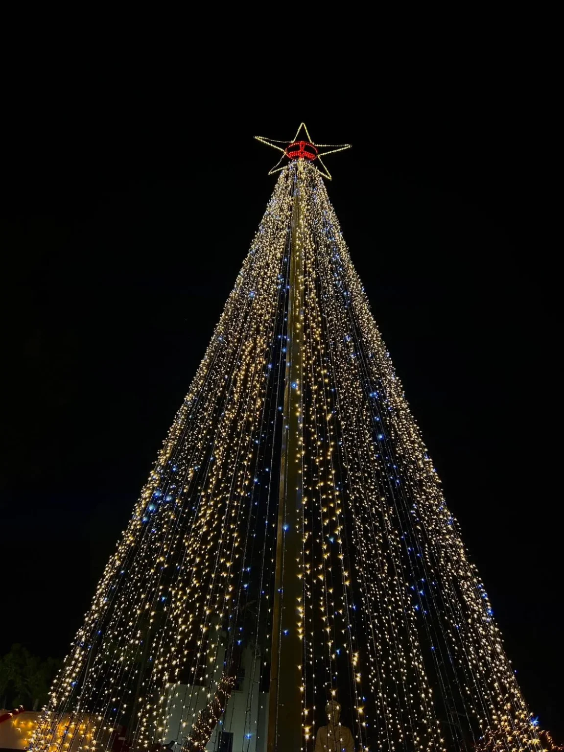 Λέρος: Με λαμπρότητα πραγματοποιήθηκε η φωταγώγηση του Χριστουγεννιάτικου δέντρου