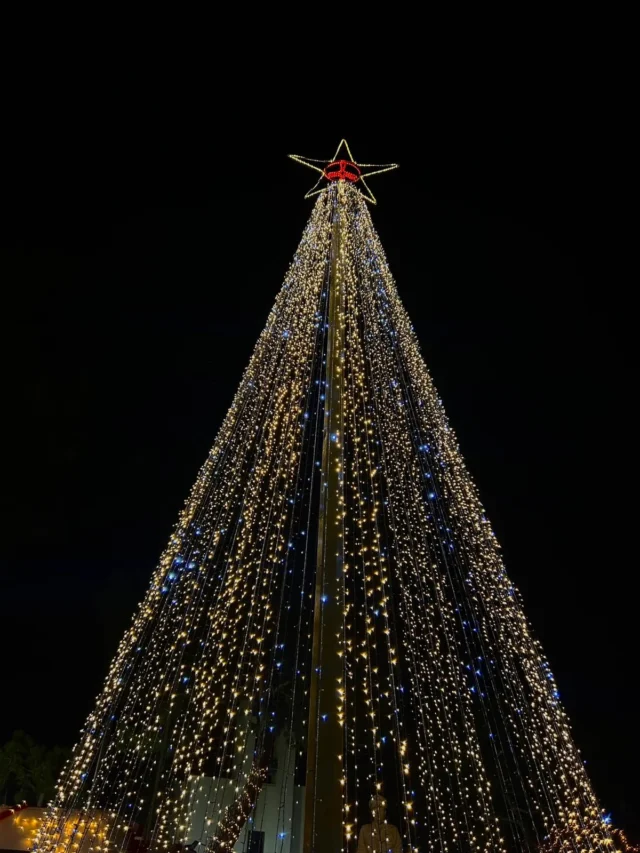 Λέρος: Με λαμπρότητα πραγματοποιήθηκε η φωταγώγηση του Χριστουγεννιάτικου δέντρου