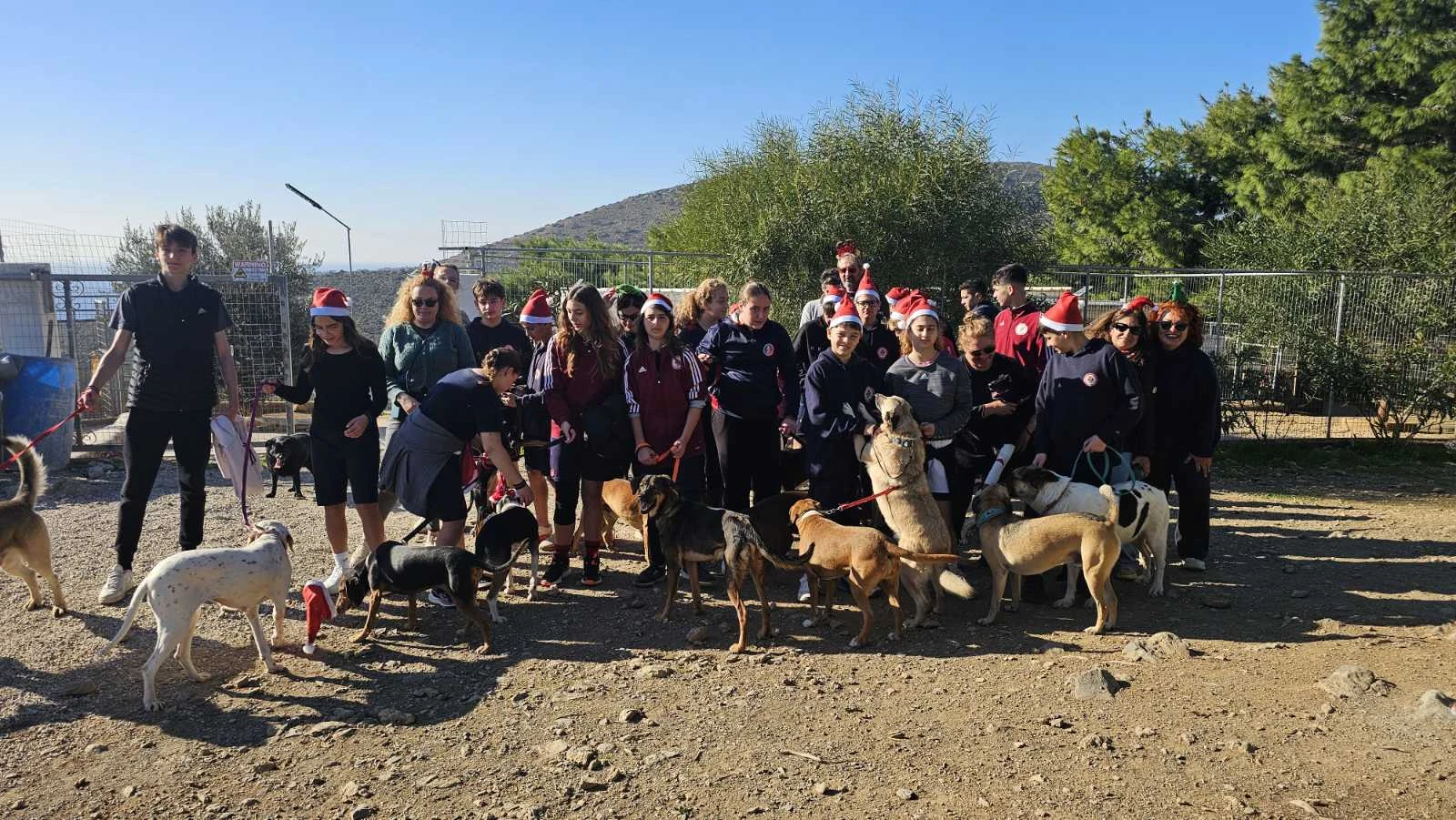 Λέρος: 35 παιδιά του Πανιωνίου χάρισαν αγάπη στα σκυλάκια του Φιλοζωικού Σωματείου